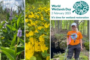 World Wetland Day and New USACE/EPA Fact Sheet Information